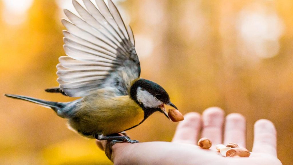 Thérapeute : 7 astuces simples pour augmenter sa crédibilité