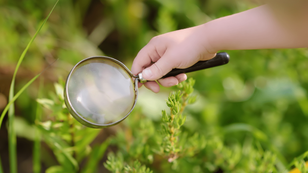 trouver sa niche réflexologue